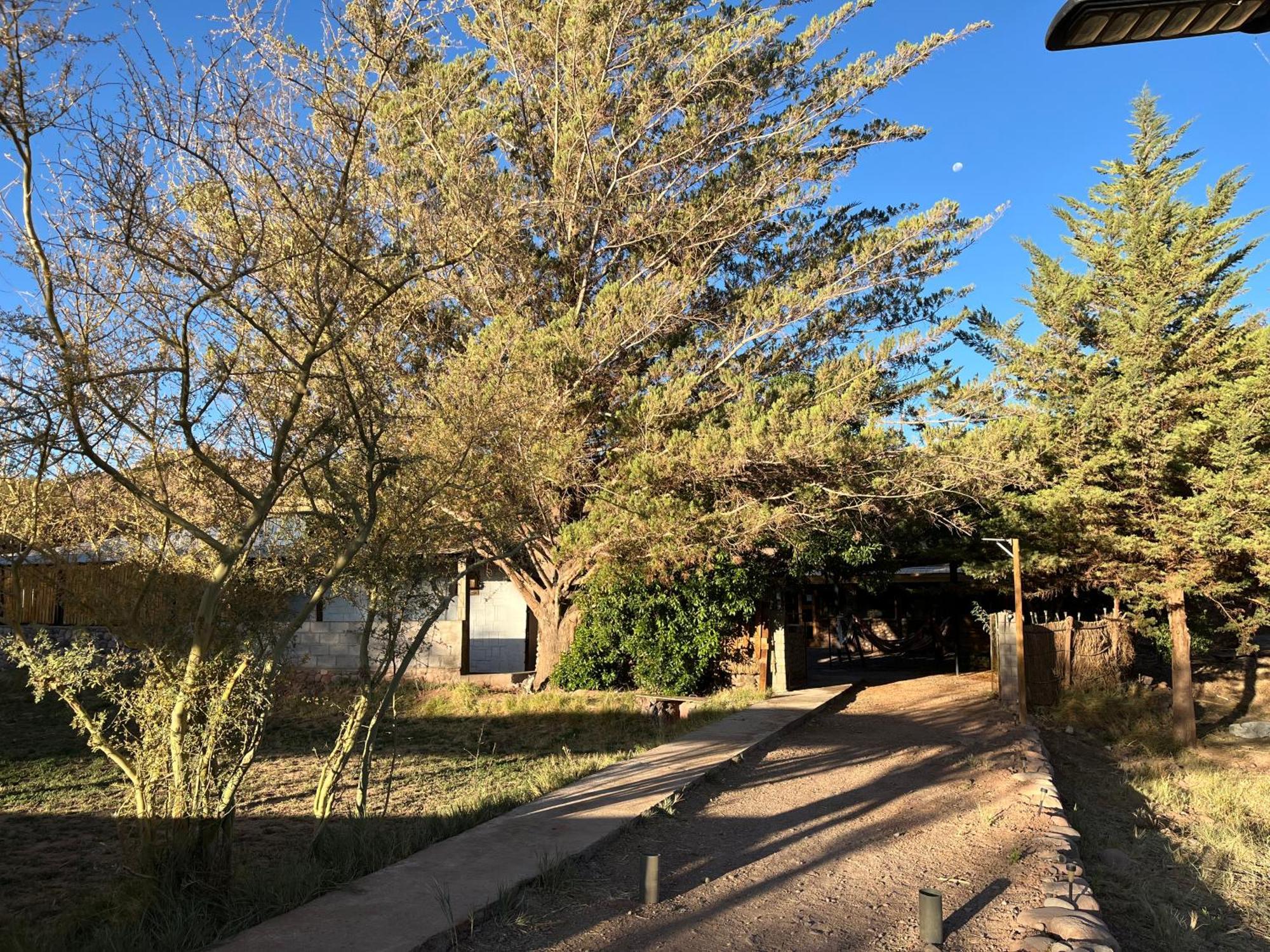 Hostal Piedrita De Rio San Pedro de Atacama Eksteriør bilde